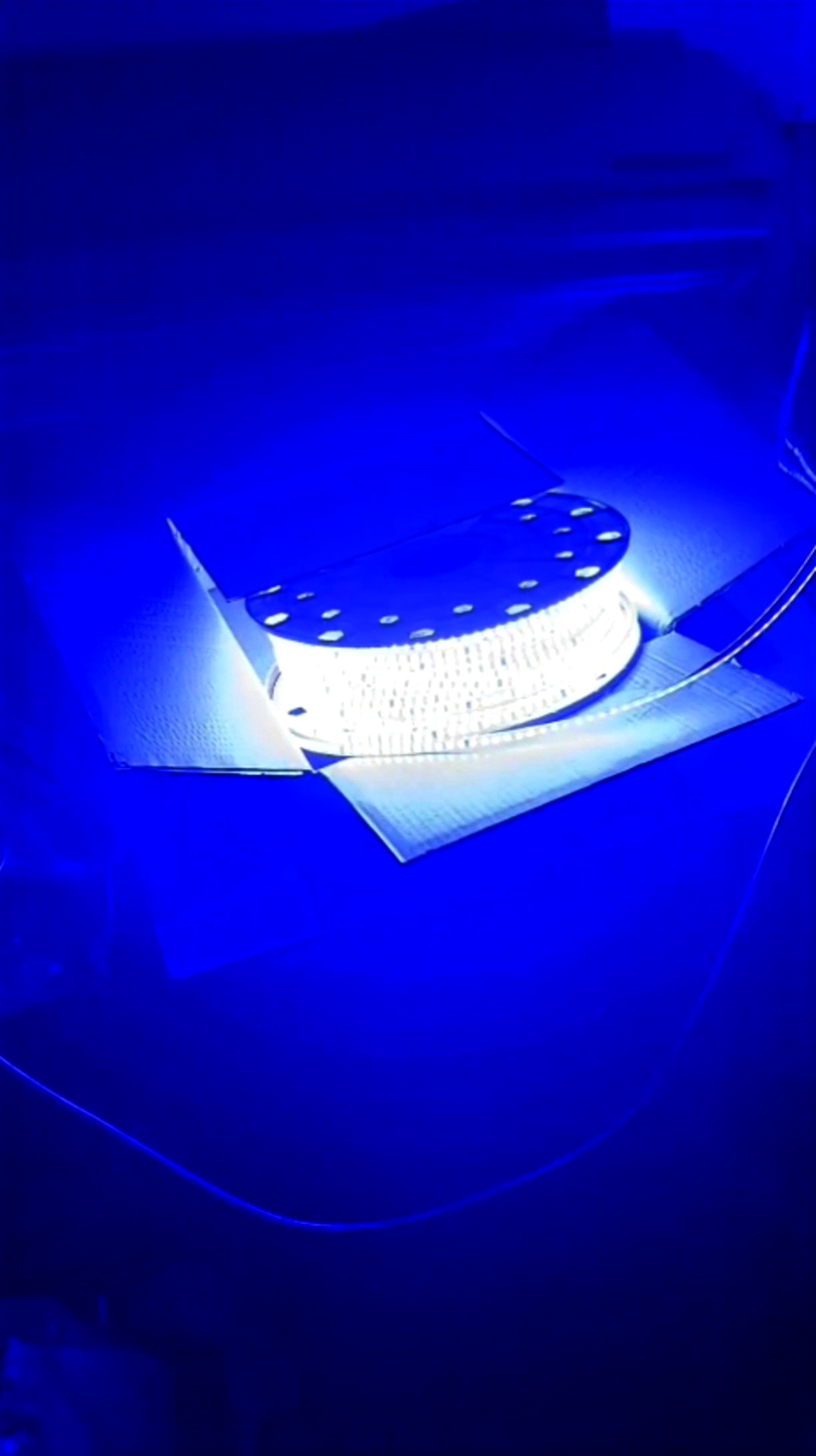 Hortum LED Mavi Işık 220V